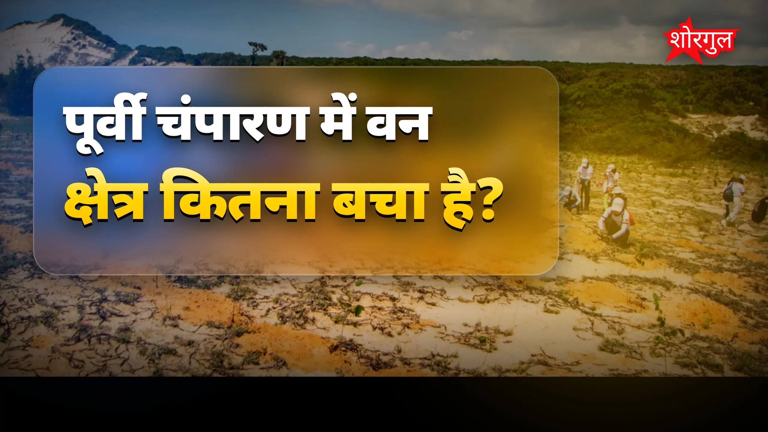 हरियाली बचाने urgent कदम! 🌿
