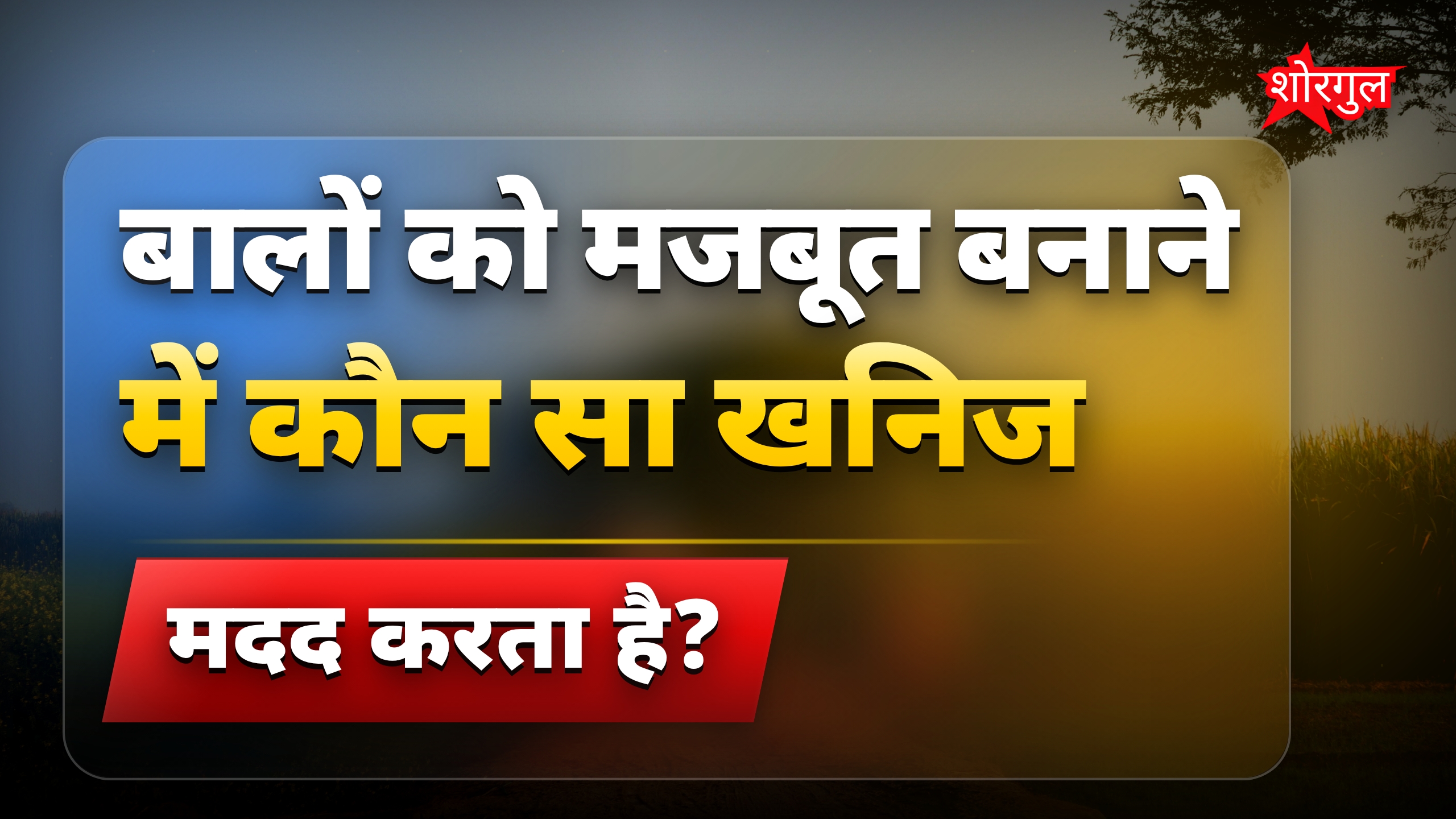 सफेद बालों से बचाव के लिए जिंक युक्त 7 जरूरी फूड्स
