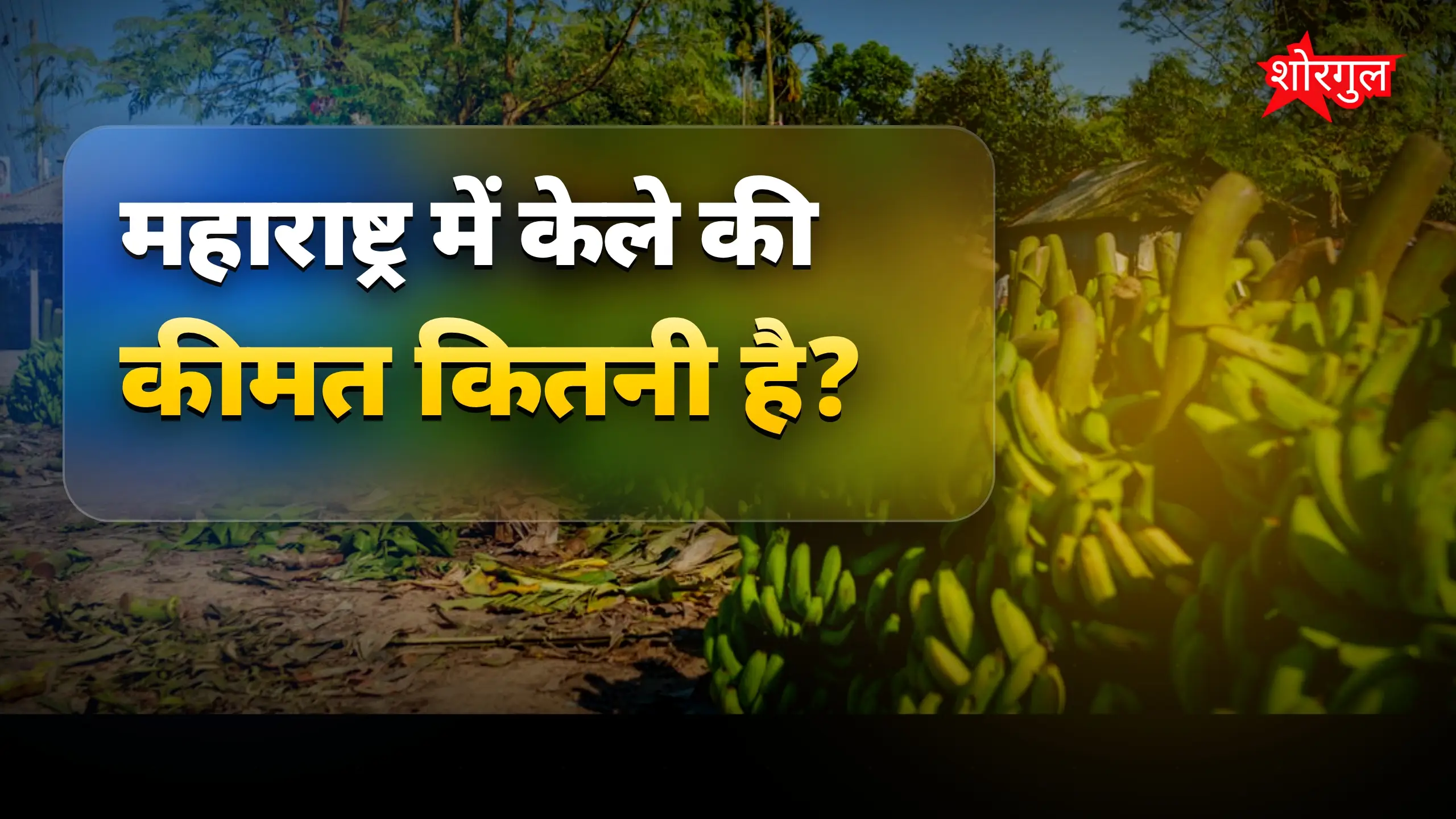 किसानों की हालत देख shocking 😢