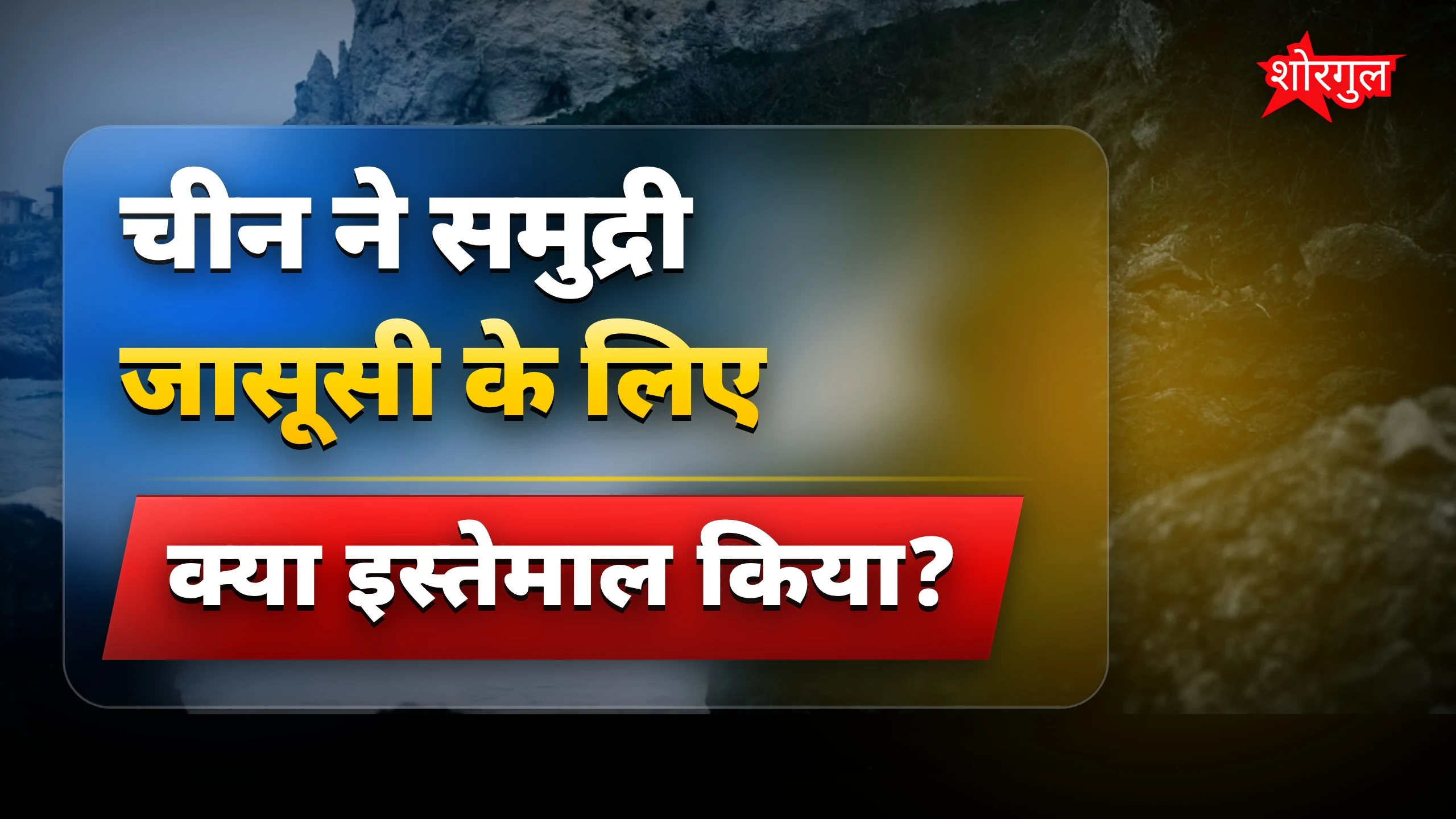चीन के तटीय इलाकों में जासूसी के लिए कछुओं और मछलियों का इस्तेमाल
