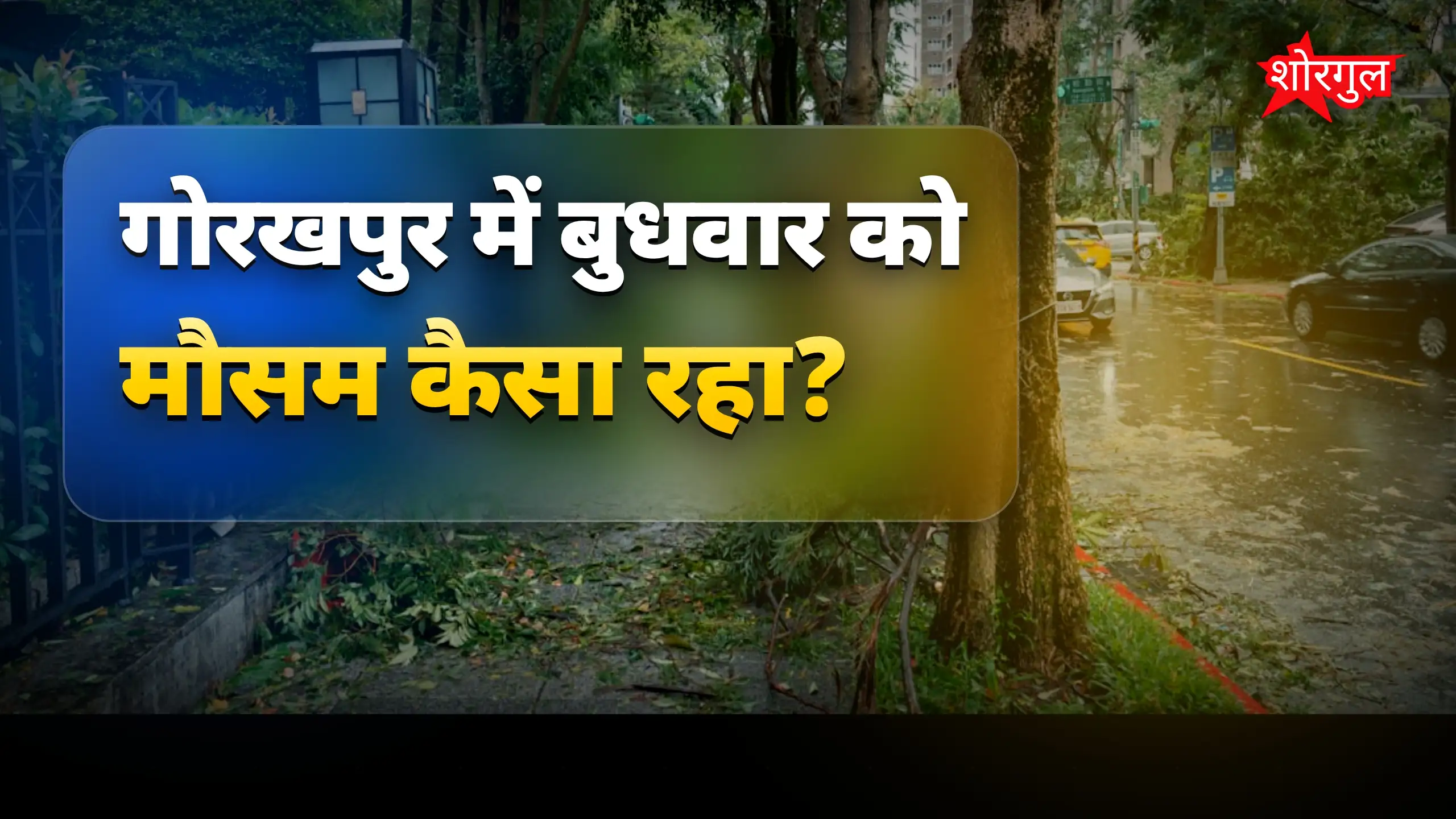 बारिश से farmers की चिंता बढ़ी 😟