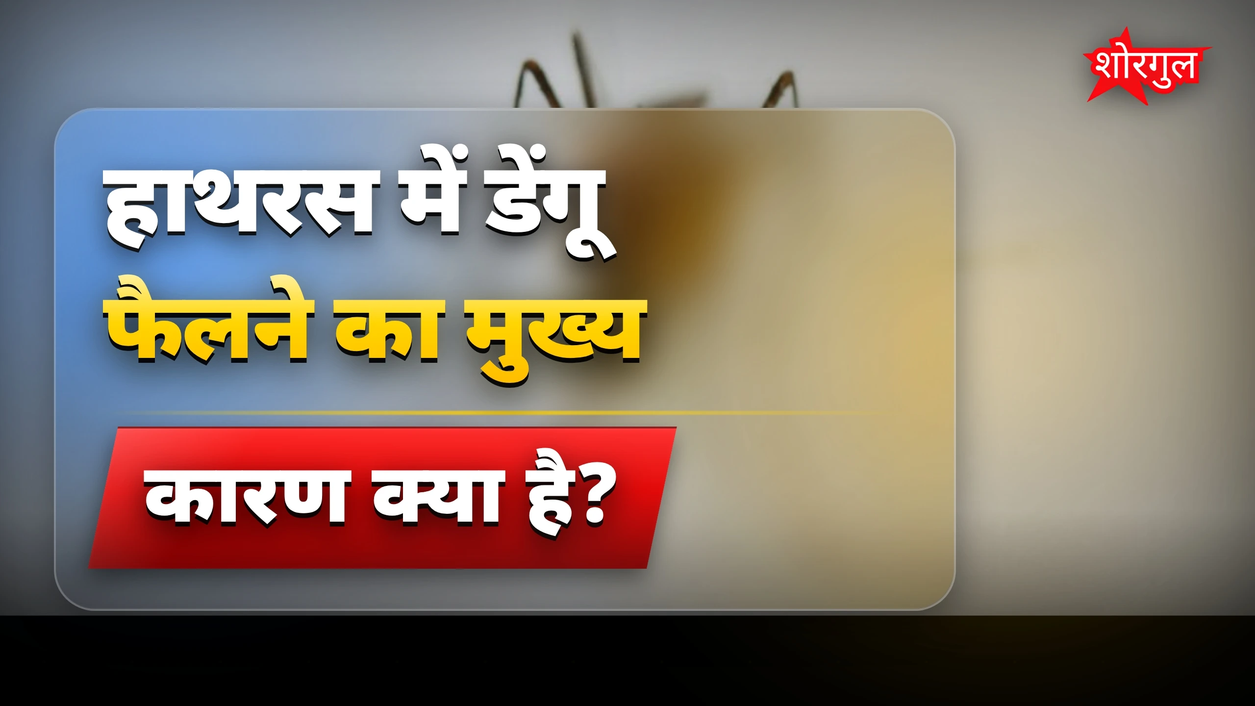 डेंगू खतरा अभी भी है! ⚠️