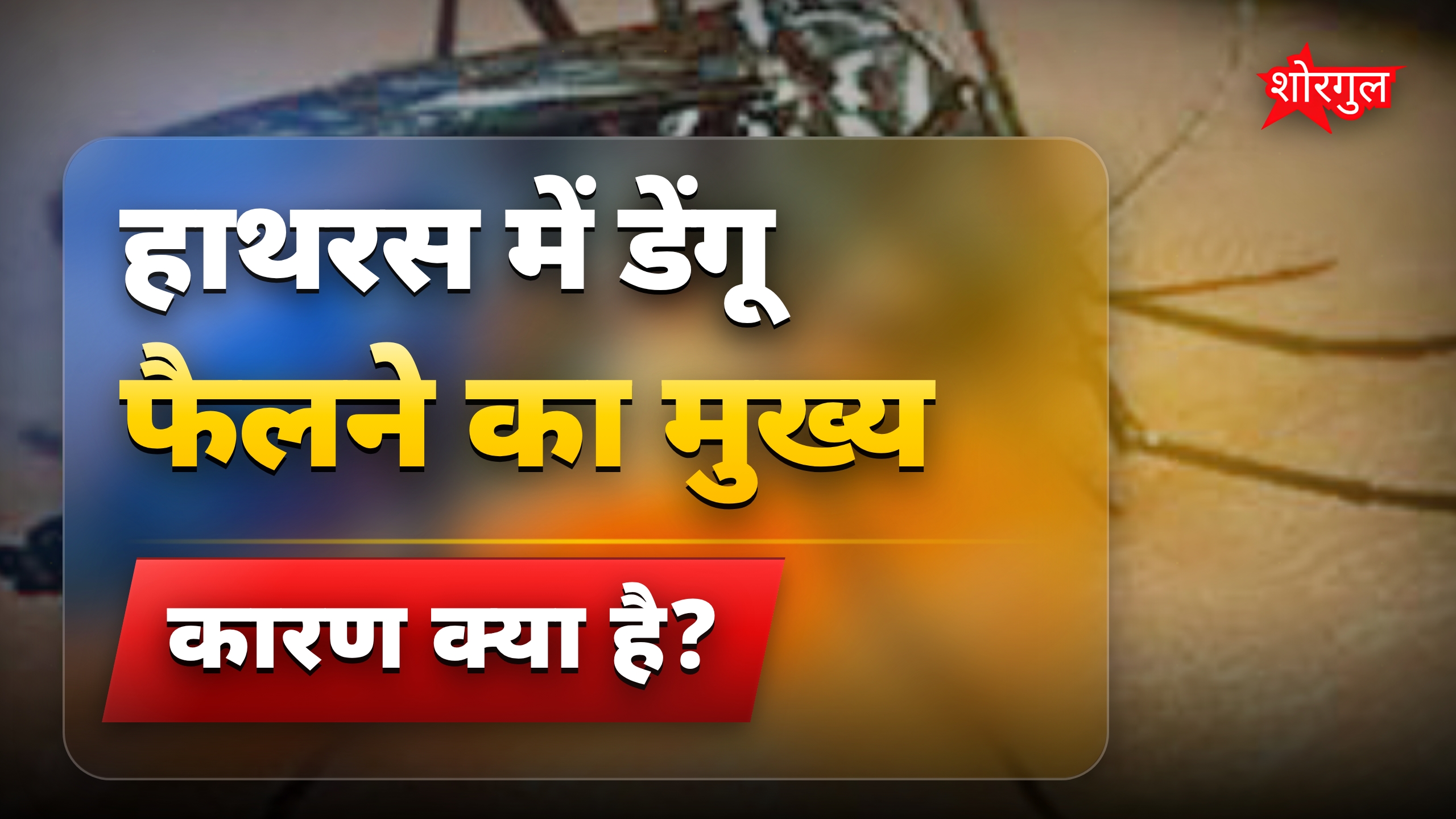 हाथरस में डेंगू का खतरा अभी भी बरकरार, सावधानी जरूरी