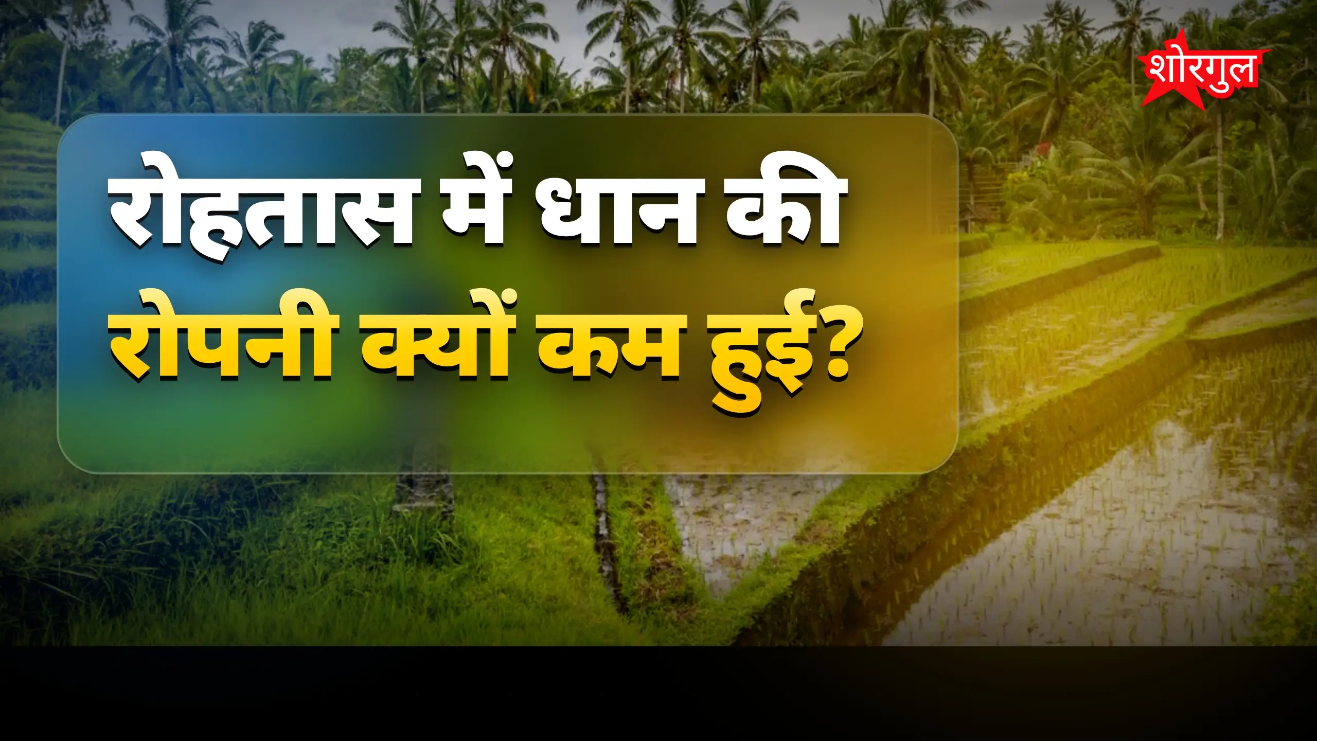 रोहतास में सूखे से धान की रोपनी प्रभावित, किसानों की चिंता बढ़ी