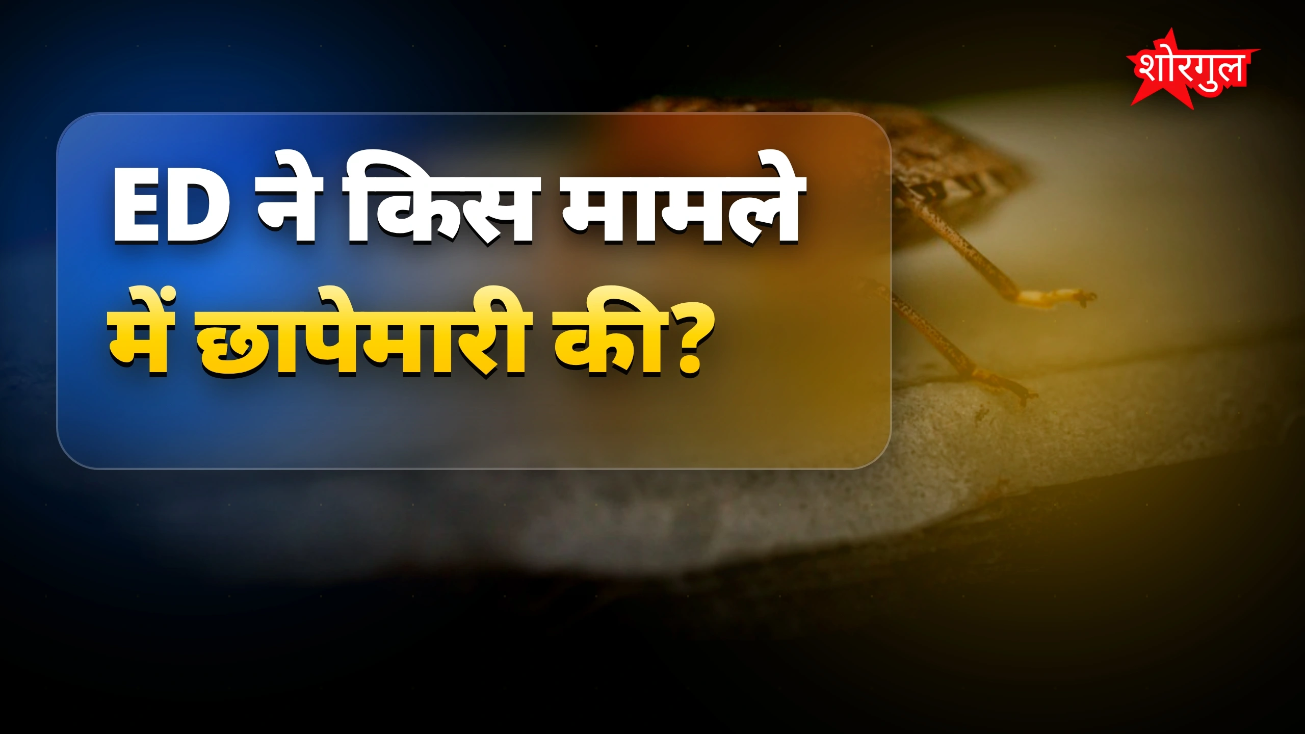 साइबर फ्रॉड जांच में ED का छापा, पंजाब-राजस्थान के ठिकानों पर कार्रवाई