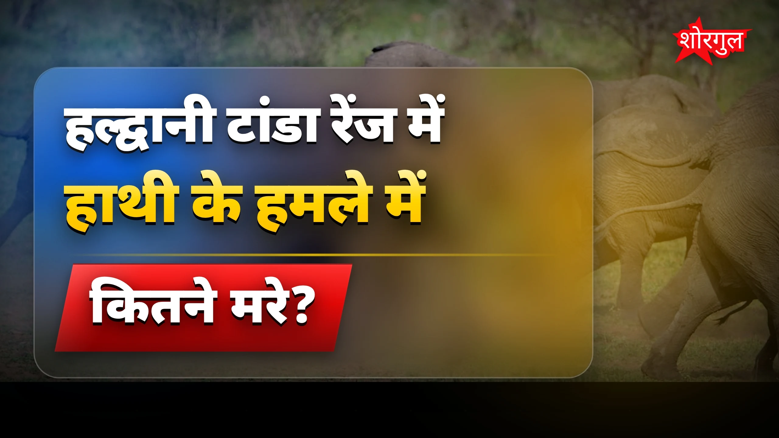 हाथी attack ने दिल हिला दिया 😢