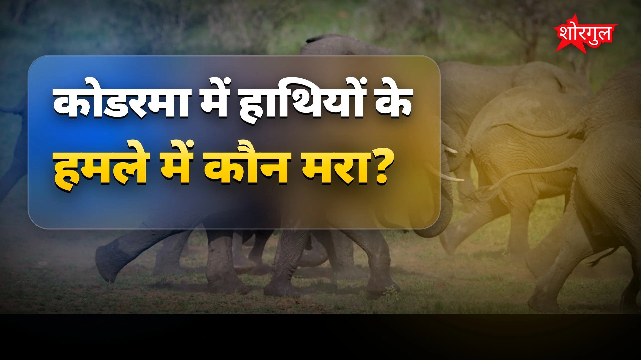 हाथियों का हमला, गाँव में tension 😡