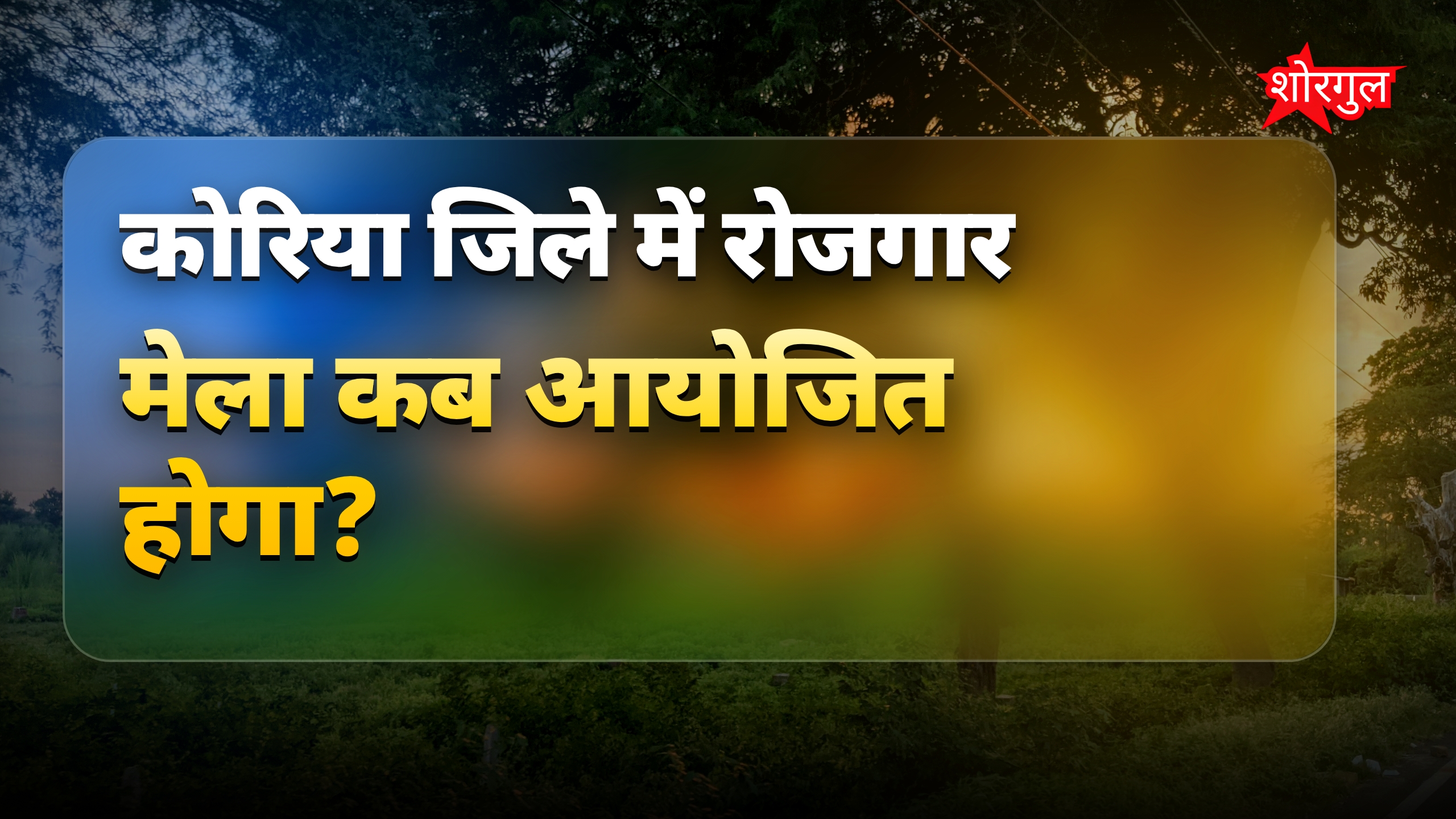 कोरिया में रोजगार मेला 19 मई को, 297 पदों पर भर्ती