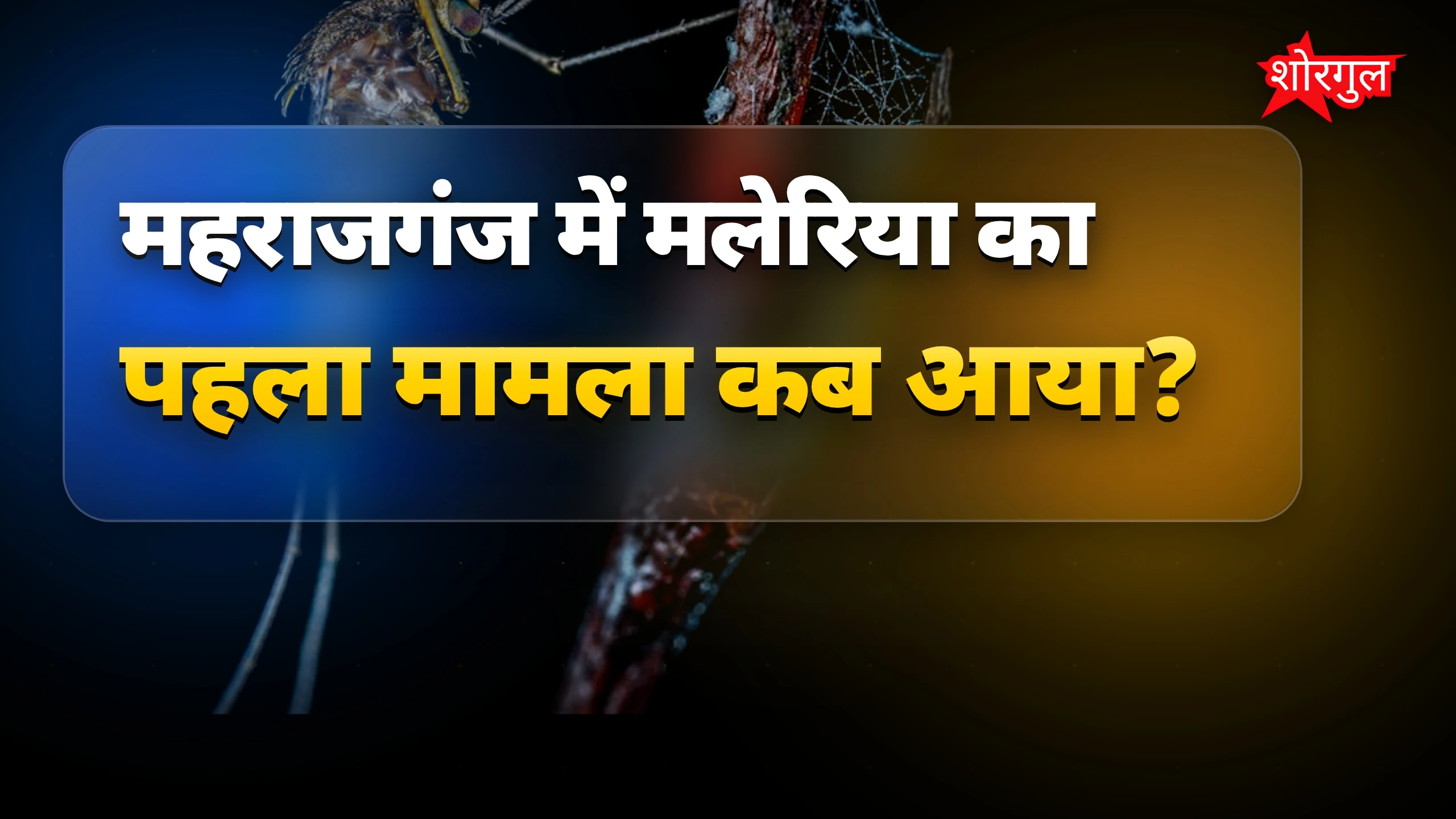 मच्छर से बचाव जरूरी है 🦟🔥