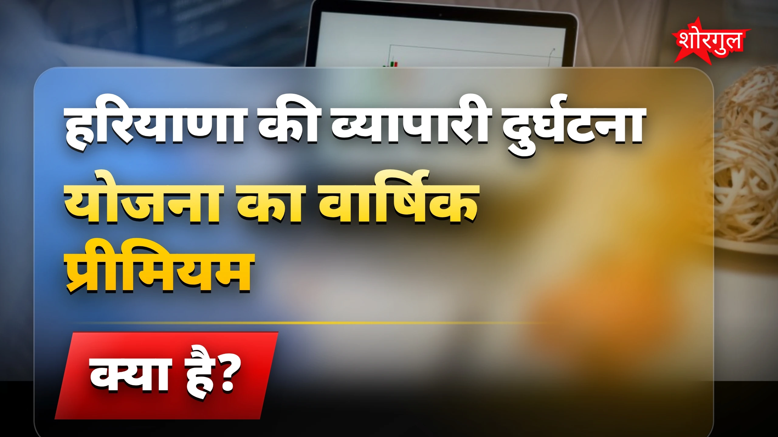 हरियाणा traders के लिए great मौका 💥
