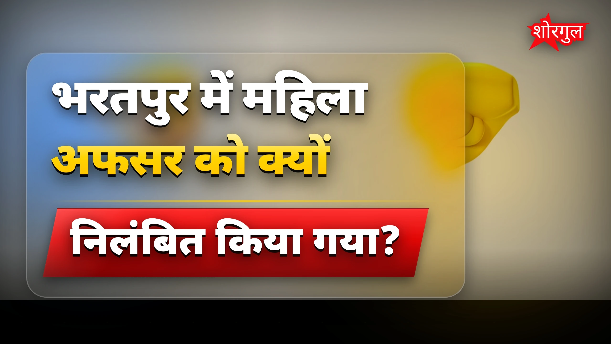 भरतपुर में महिला अफसर और विधायक की बैठक में तीखी बहस, निलंबन