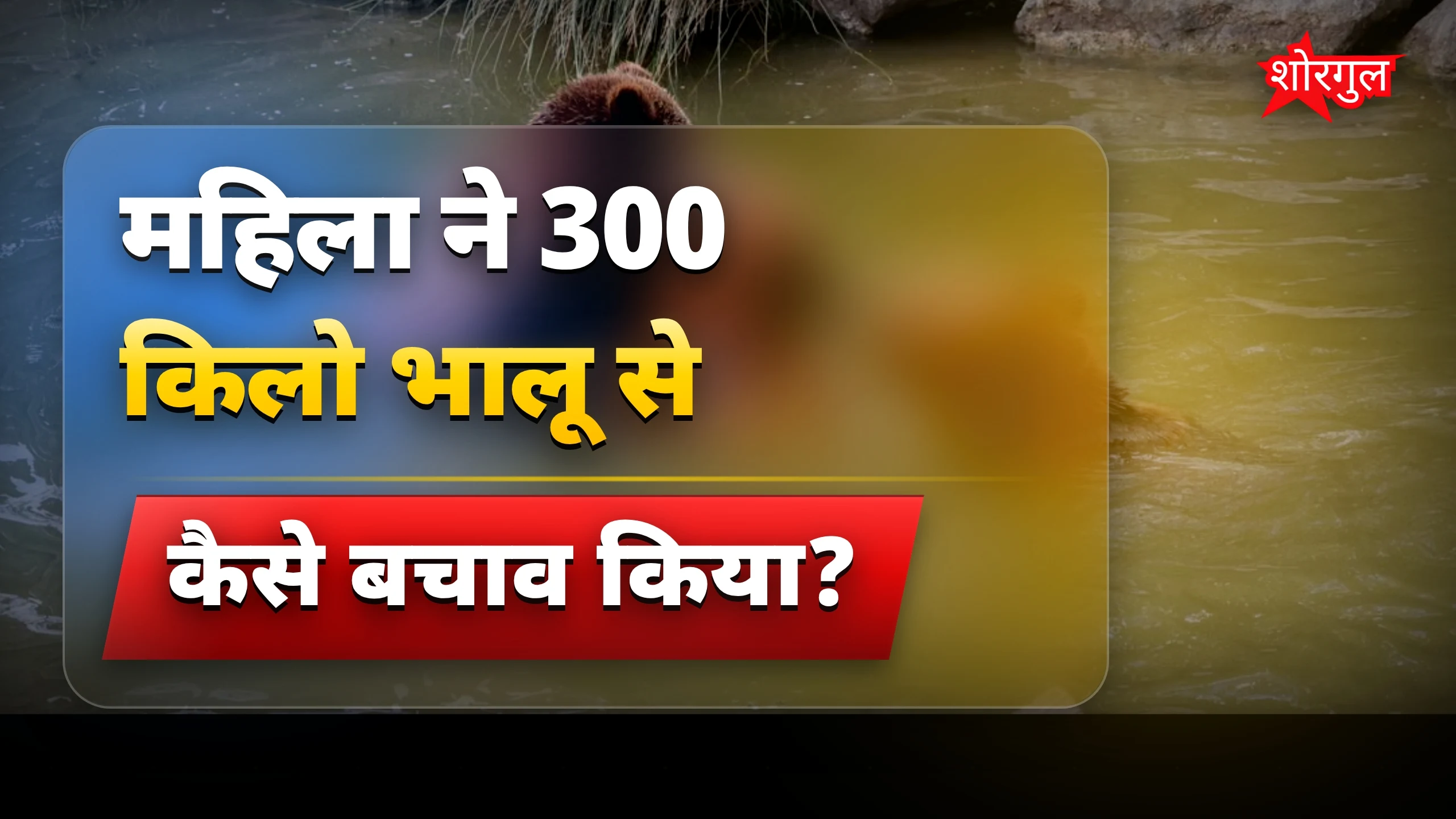 300 किलो भारी भालू से अकेली महिला ने कैसे बचाई अपनी जान