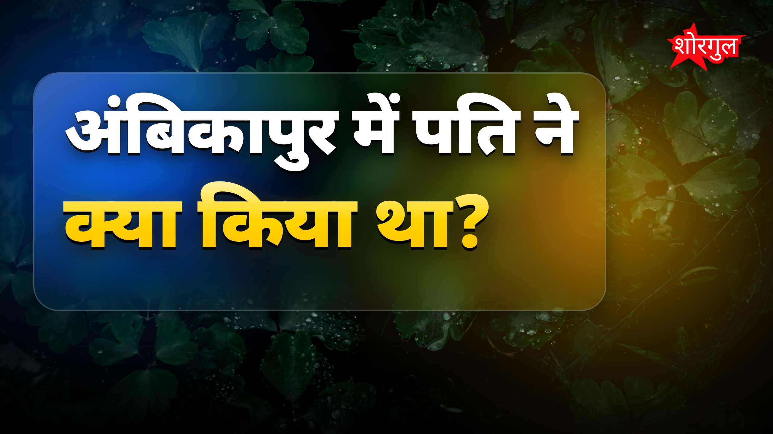 अंबिकापुर में पति ने पत्नी का अश्लील वीडियो बनाया और इंस्टाग्राम पर पोस्ट किया