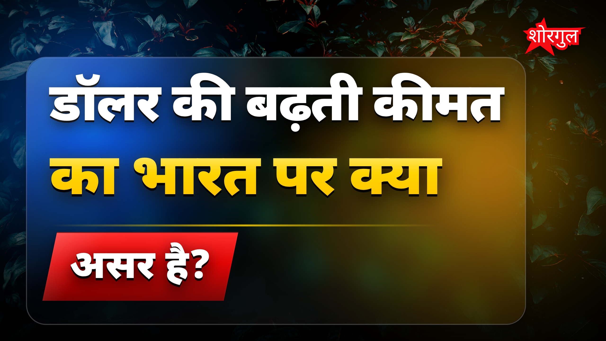 डॉलर की बढ़ती कीमत से आम आदमी की जिंदगी पर असर