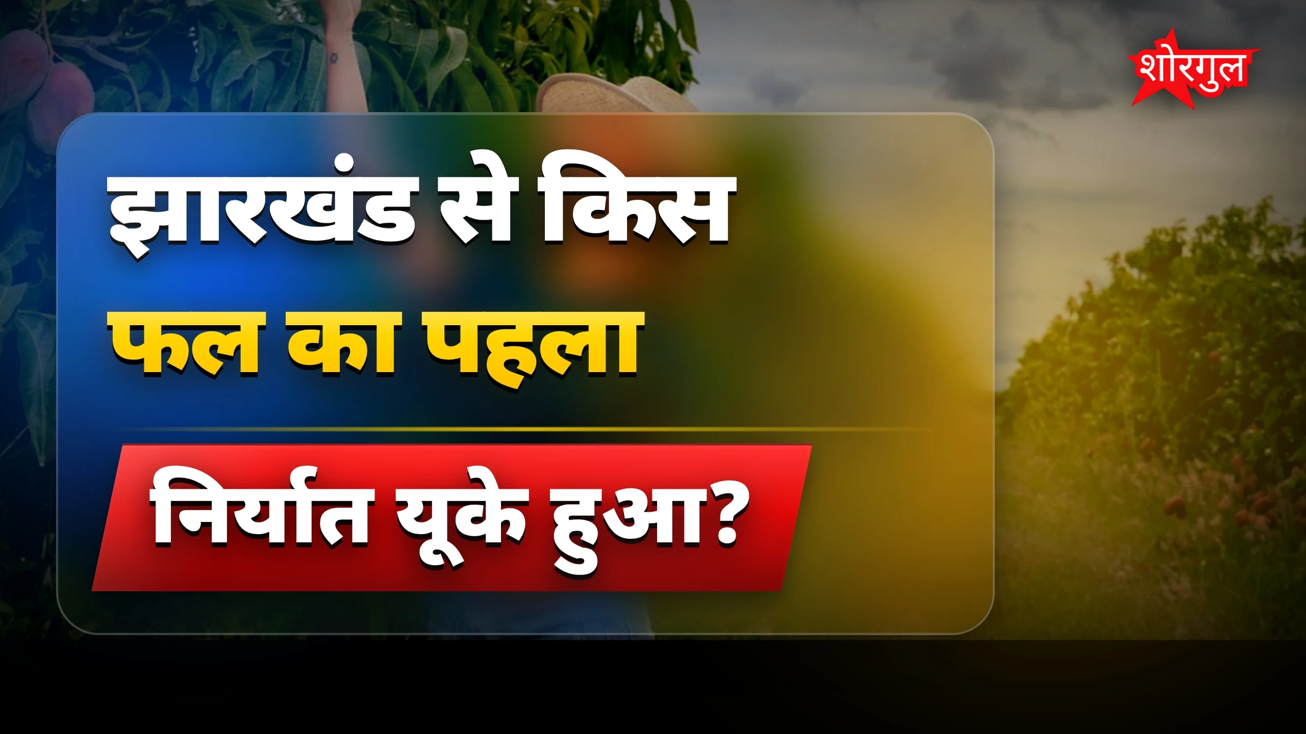 झारखंड आम निर्यात: पहली खेप यूके भेजी गई