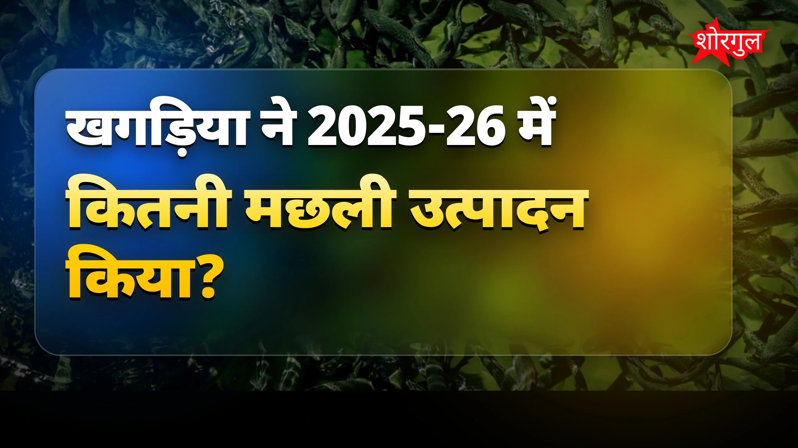 मछली production में बड़ा बदलाव 🔥