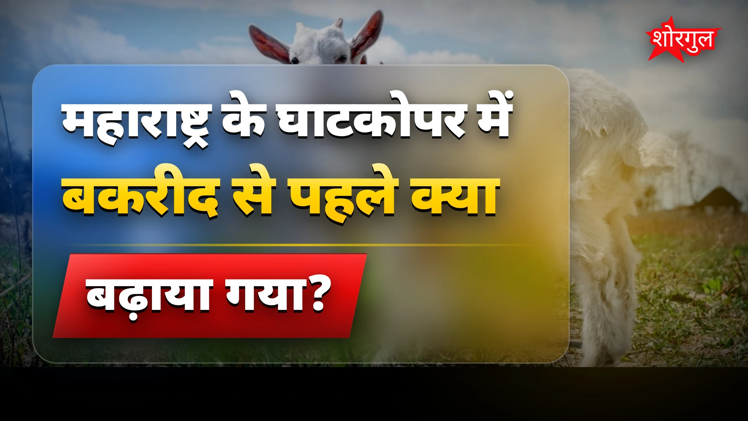 यह scene देखकर shock होगा 😲