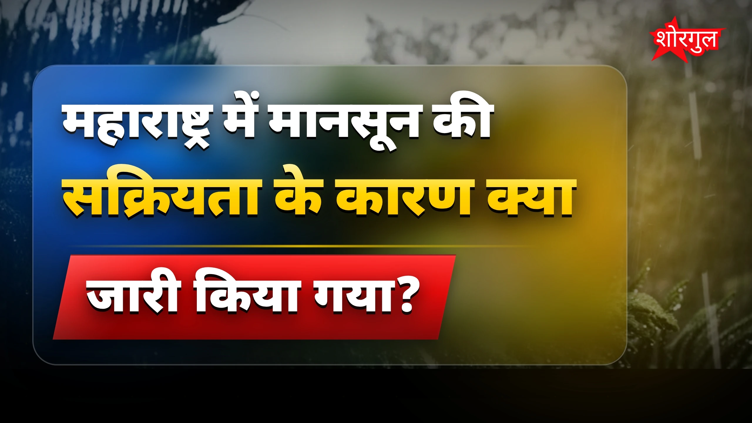 Monsoon ने किया रेड अलर्ट 🚨