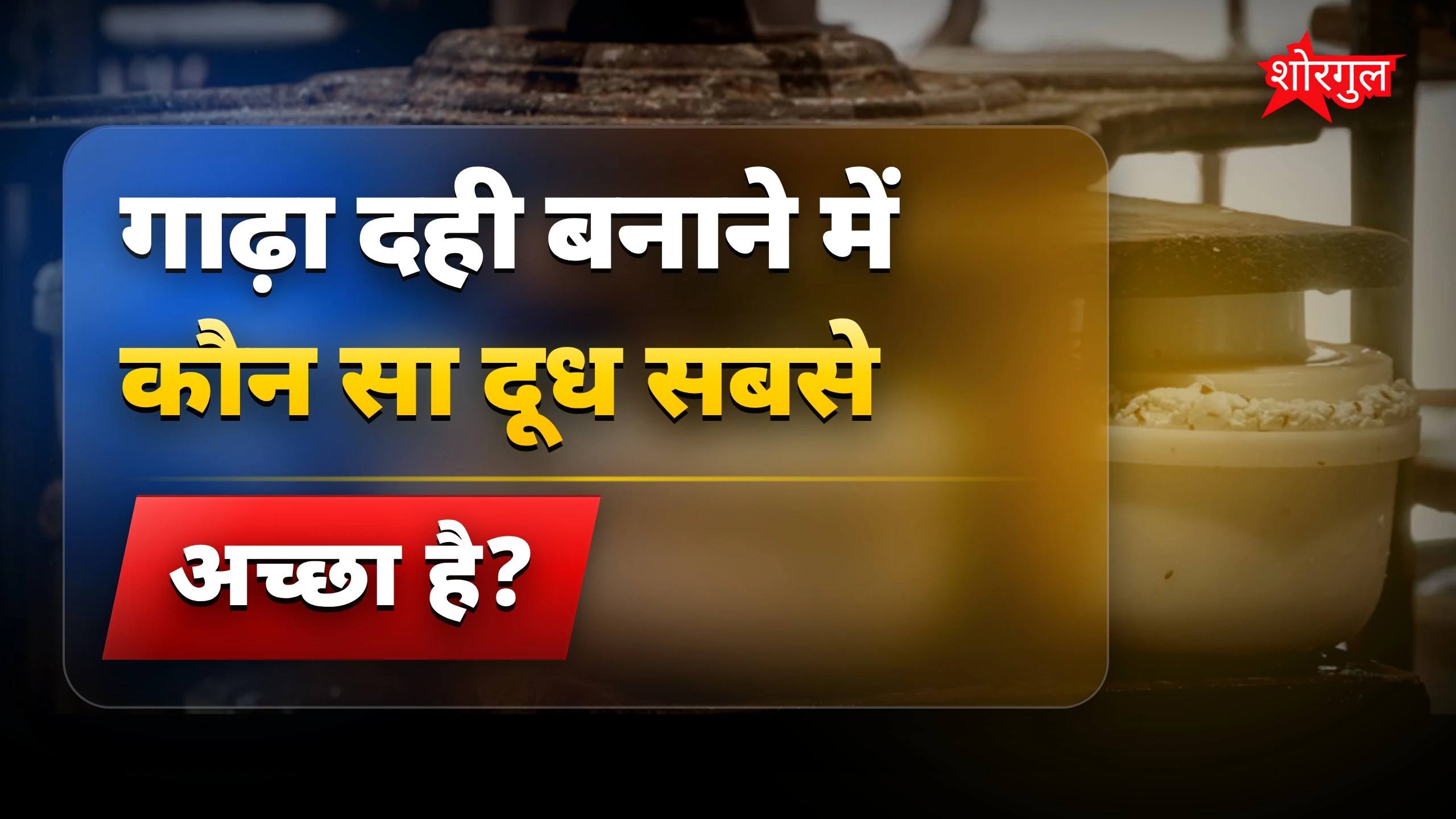 दूध में मिलाएं यह पाउडर, बनाएं घर पर गाढ़ा मलाईदार दही