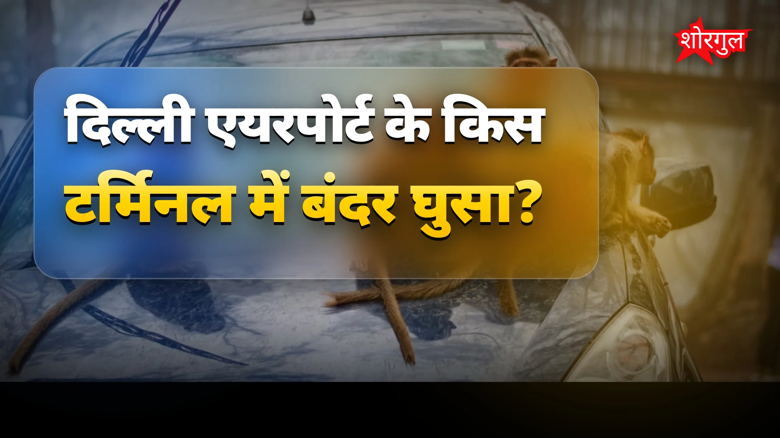 Security वालों की बड़ी मेहनत! 💪