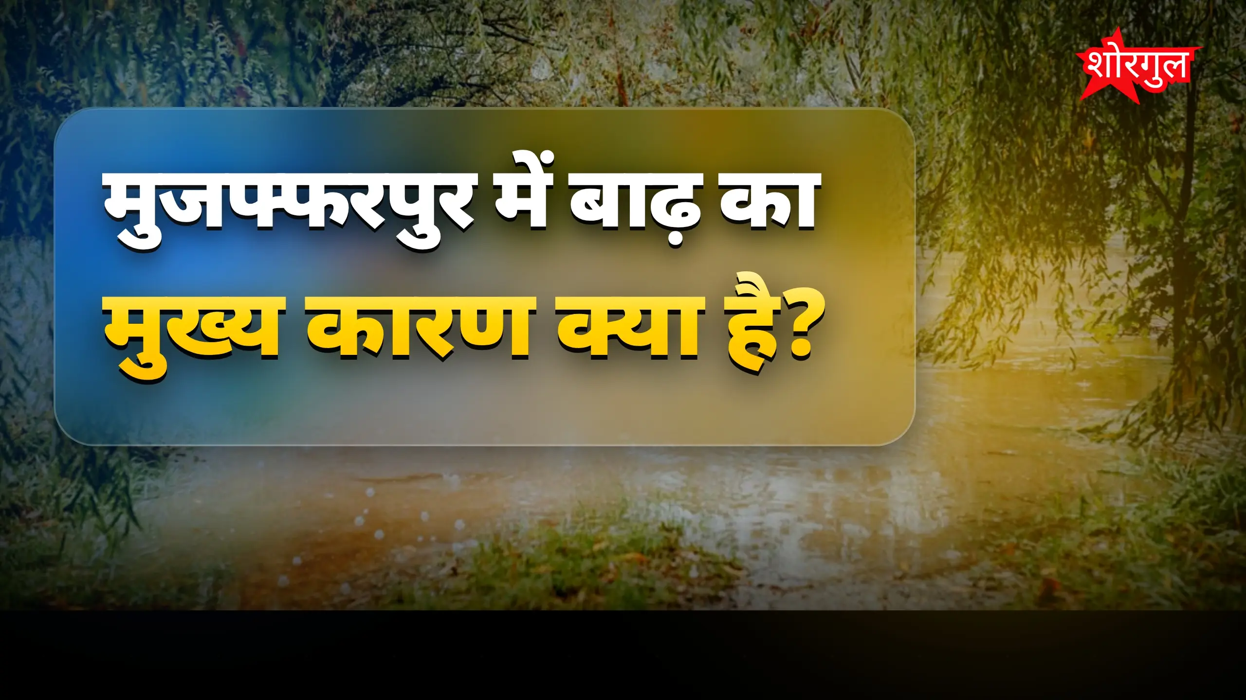 मुजफ्फरपुर बाढ़ का कारण और समाधान हर साल क्यों होती है बाढ़