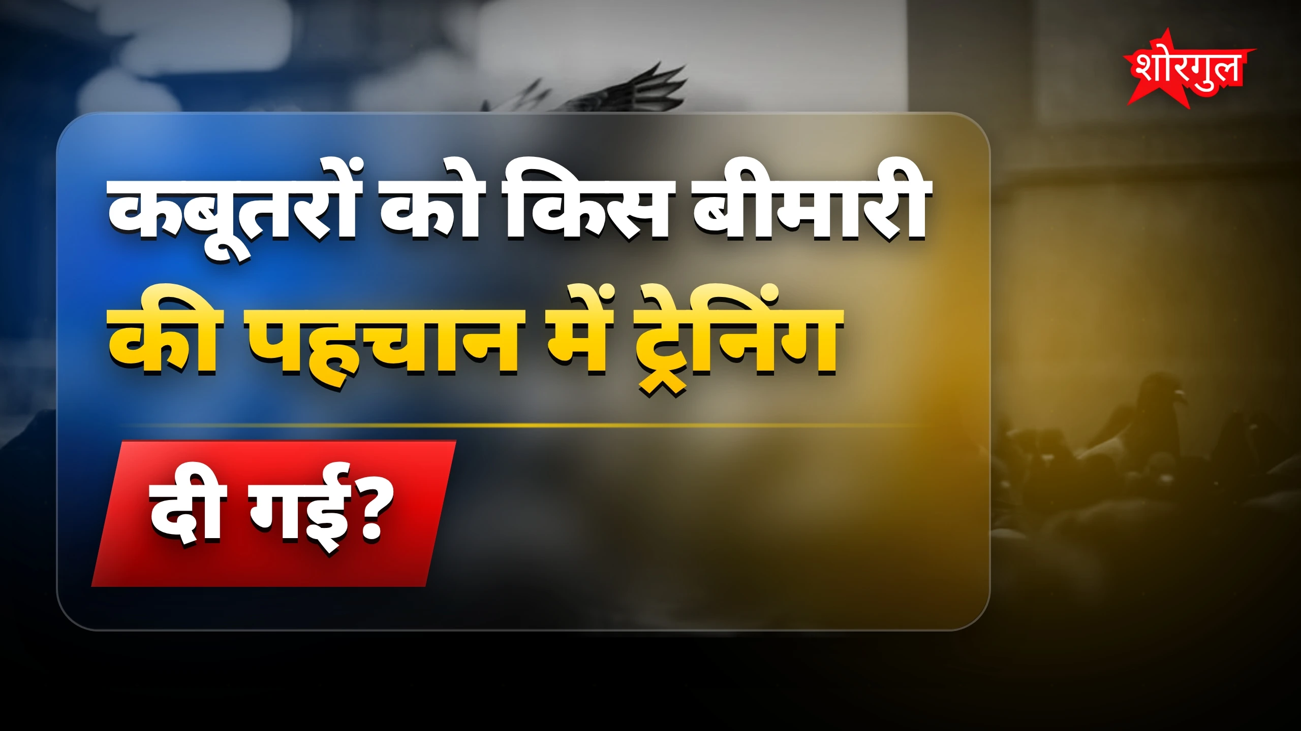 कबूतरों से कैंसर पहचान: सीटी स्कैन में लंग कैंसर की खोज