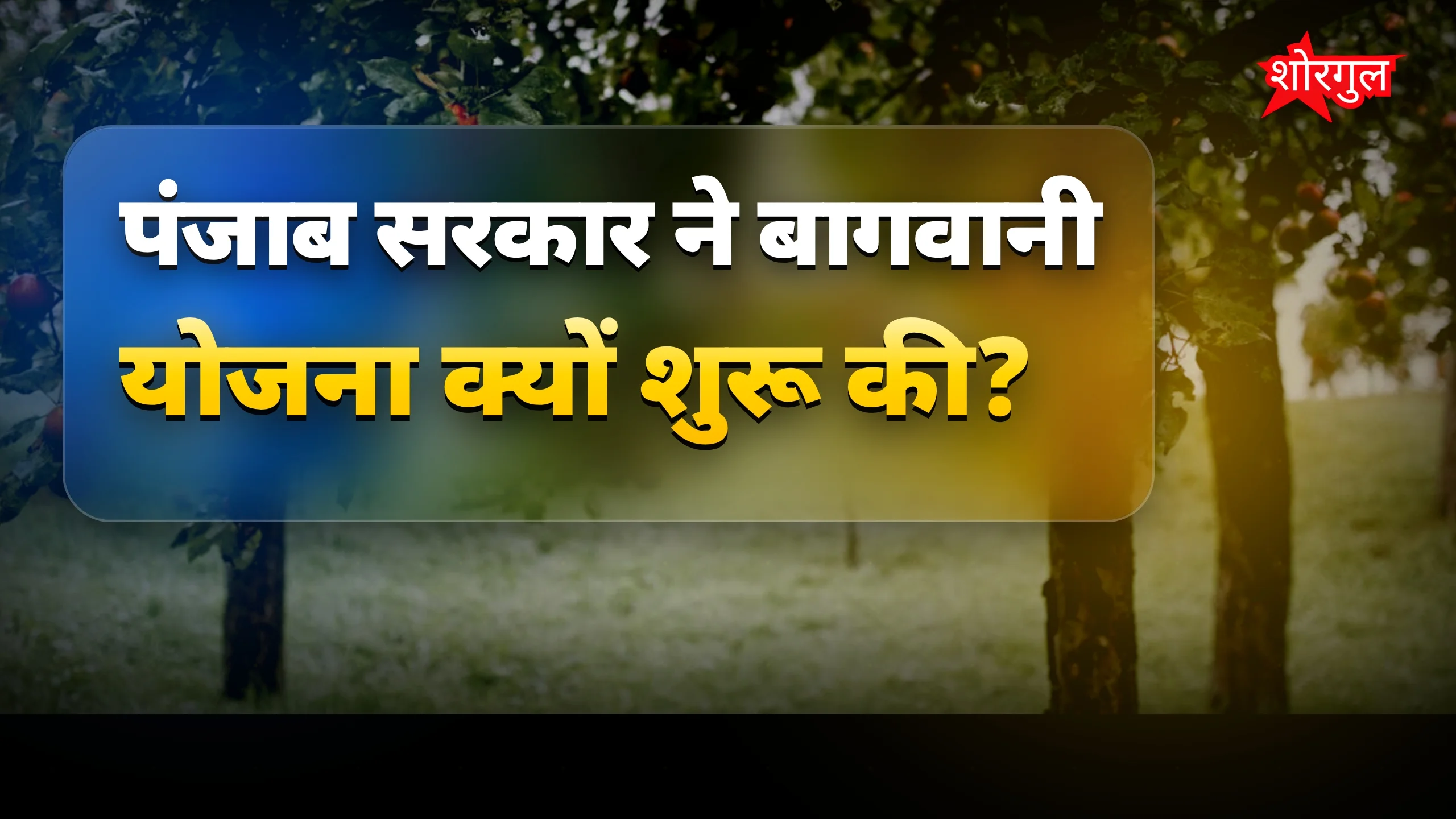 खुशखबरी for Punjab farmers 🌱