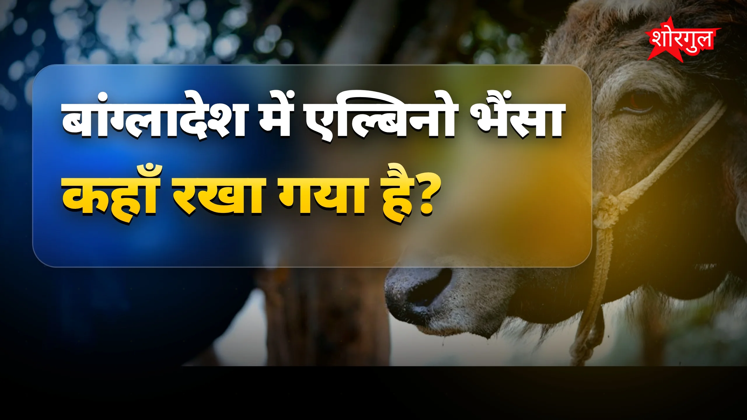 यह कहानी दिल छू जाएगी ❤️