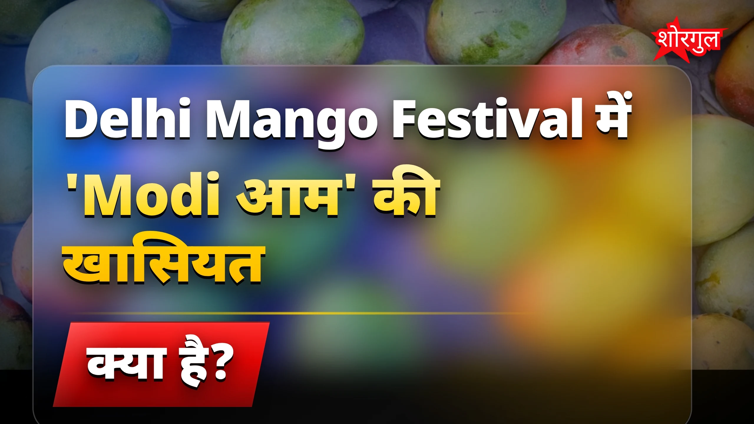 Delhi Mango Festival में शादाब के 'Modi आम' ने मचाई धूम