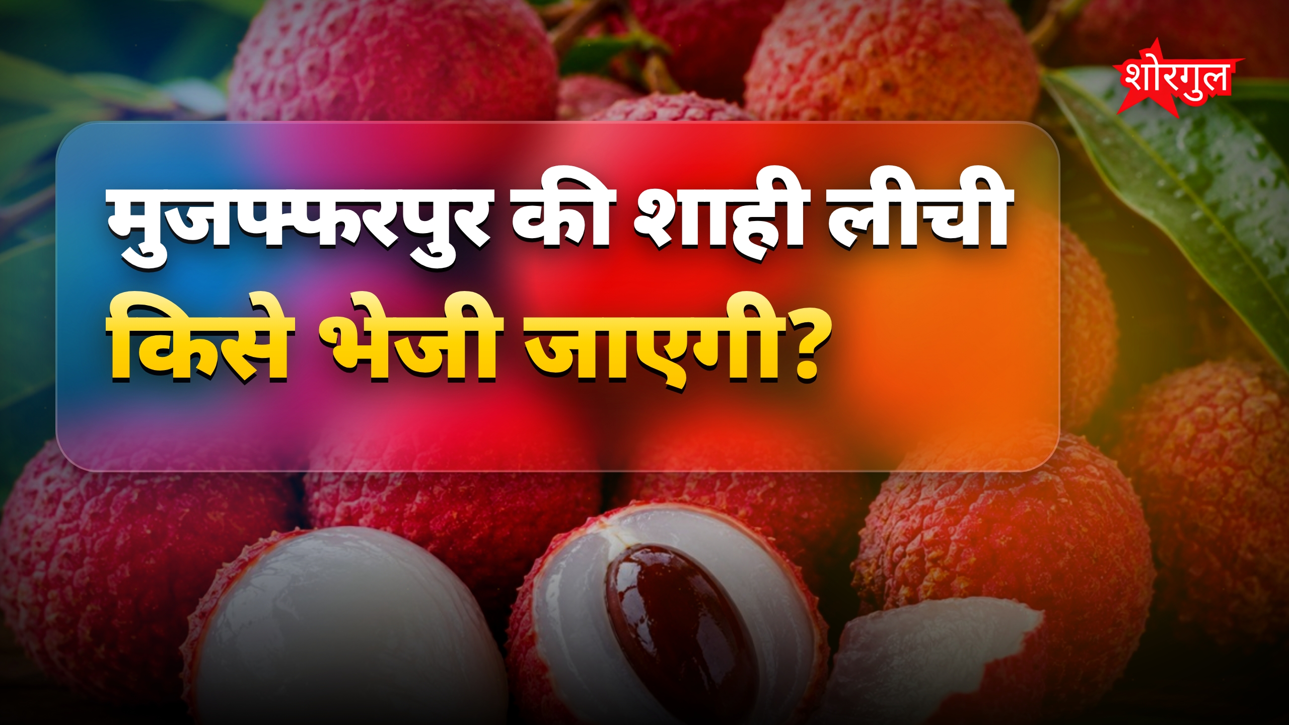 शाही लीची का स्वाद पीएम और राष्ट्रपति मुजफ्फरपुर से लेंगे