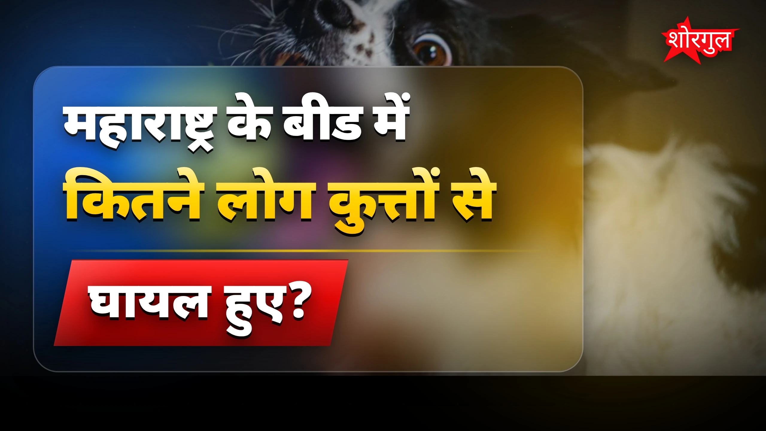 यह घटना देख कर shock होगा 😱