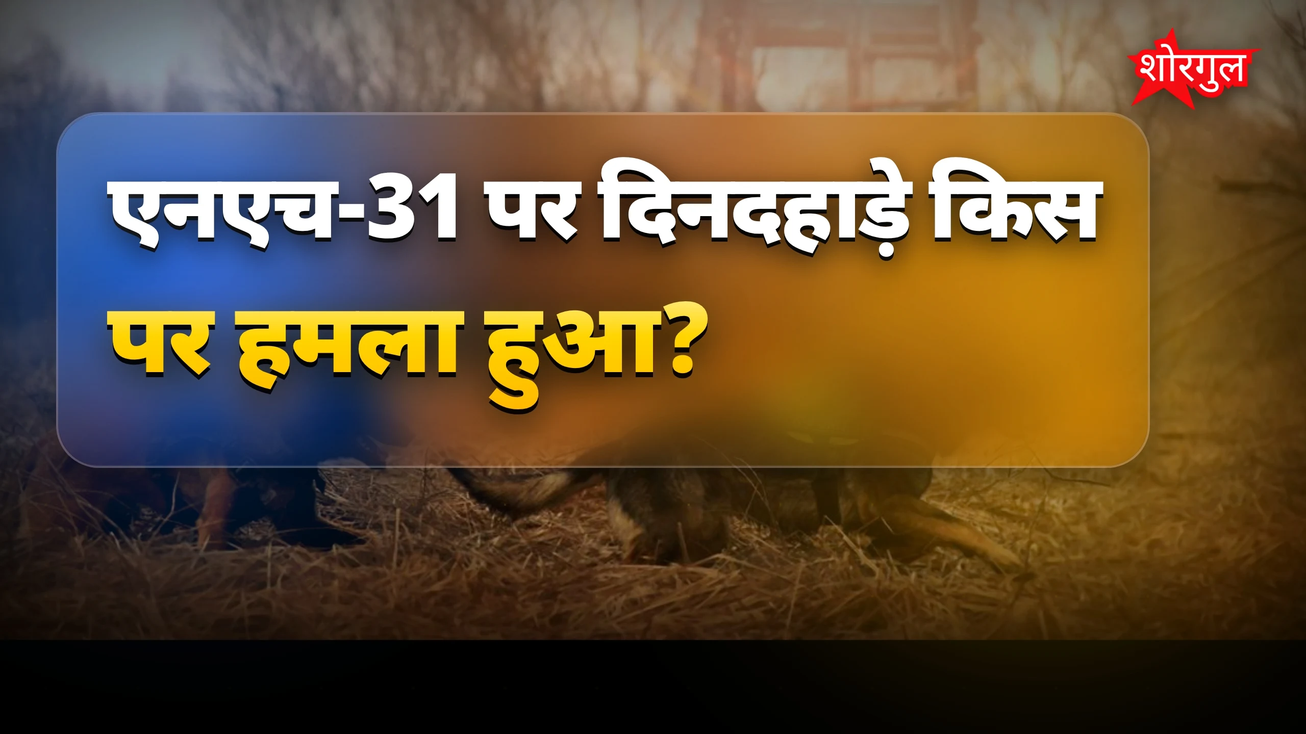 दिनदहाड़े हुई ये crime आपको shock करेगी 😱
