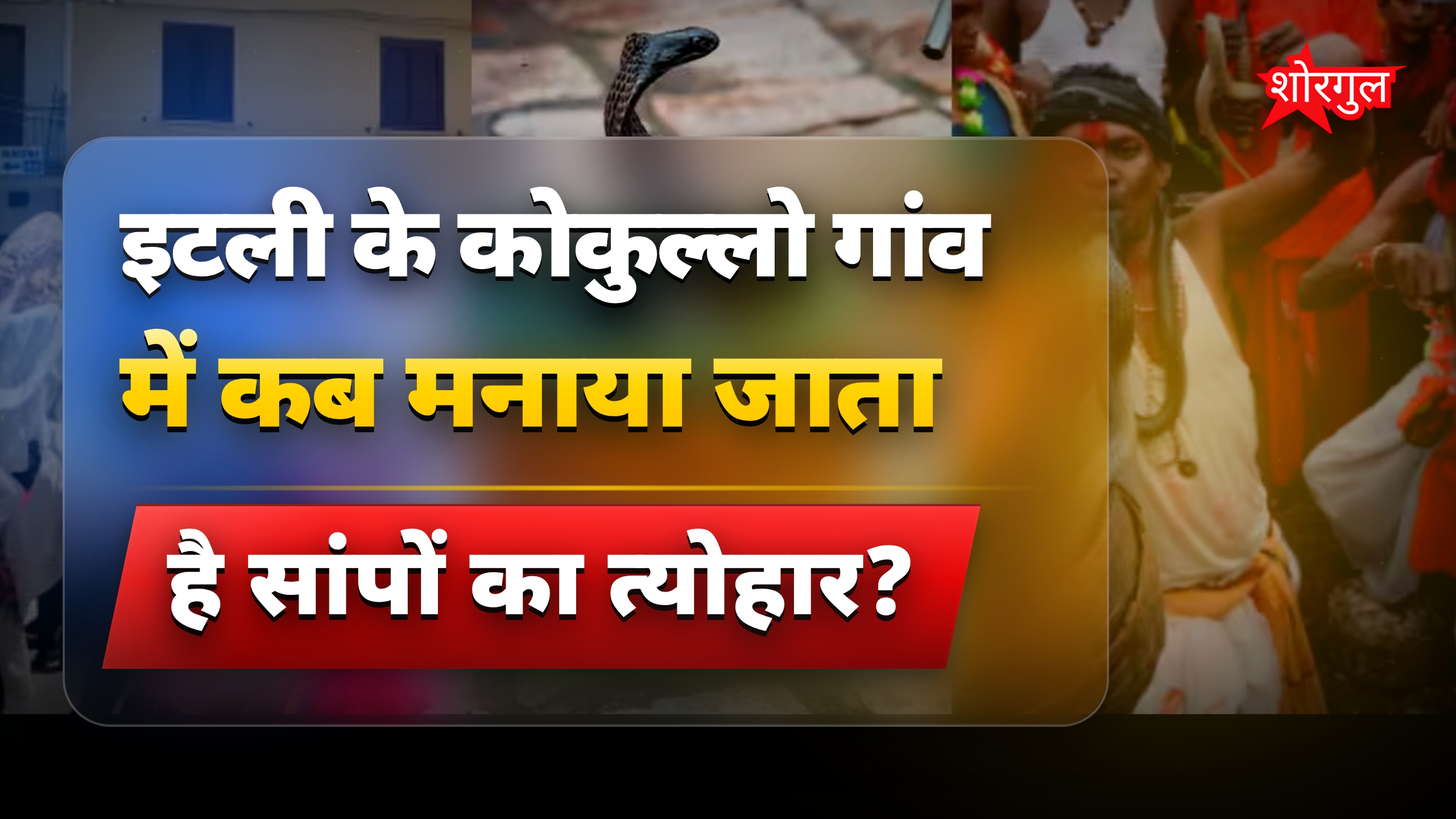 सांपों के अनोखे त्योहार: नाग पंचमी से पायथन फेस्टिवल तक