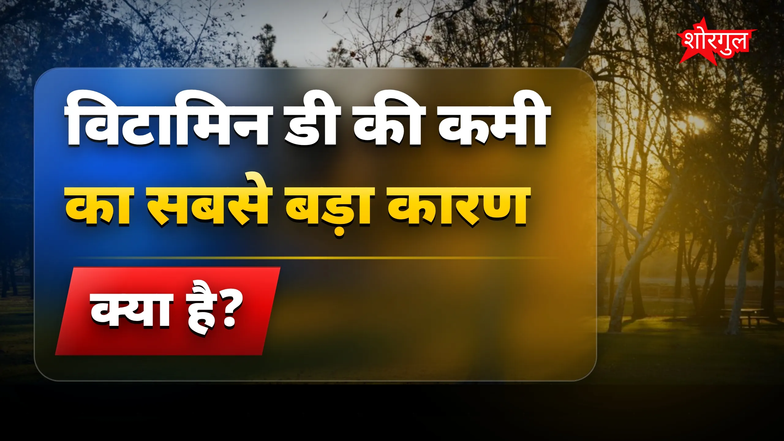 धूप से जुड़े health facts 🌞