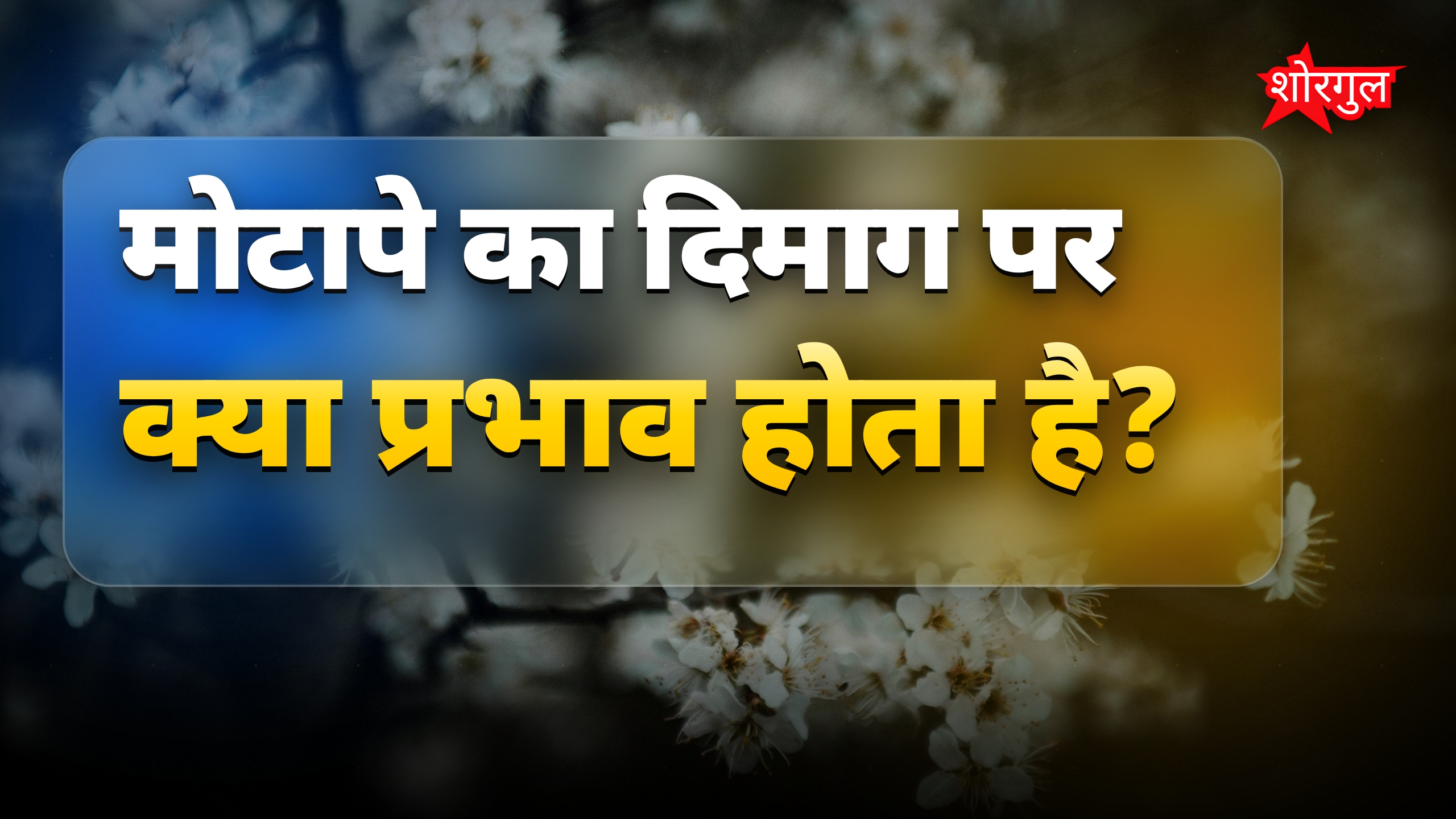बढ़ता वजन दिमाग के लिए भी खतरा, भूलने की बीमारी बढ़ती है