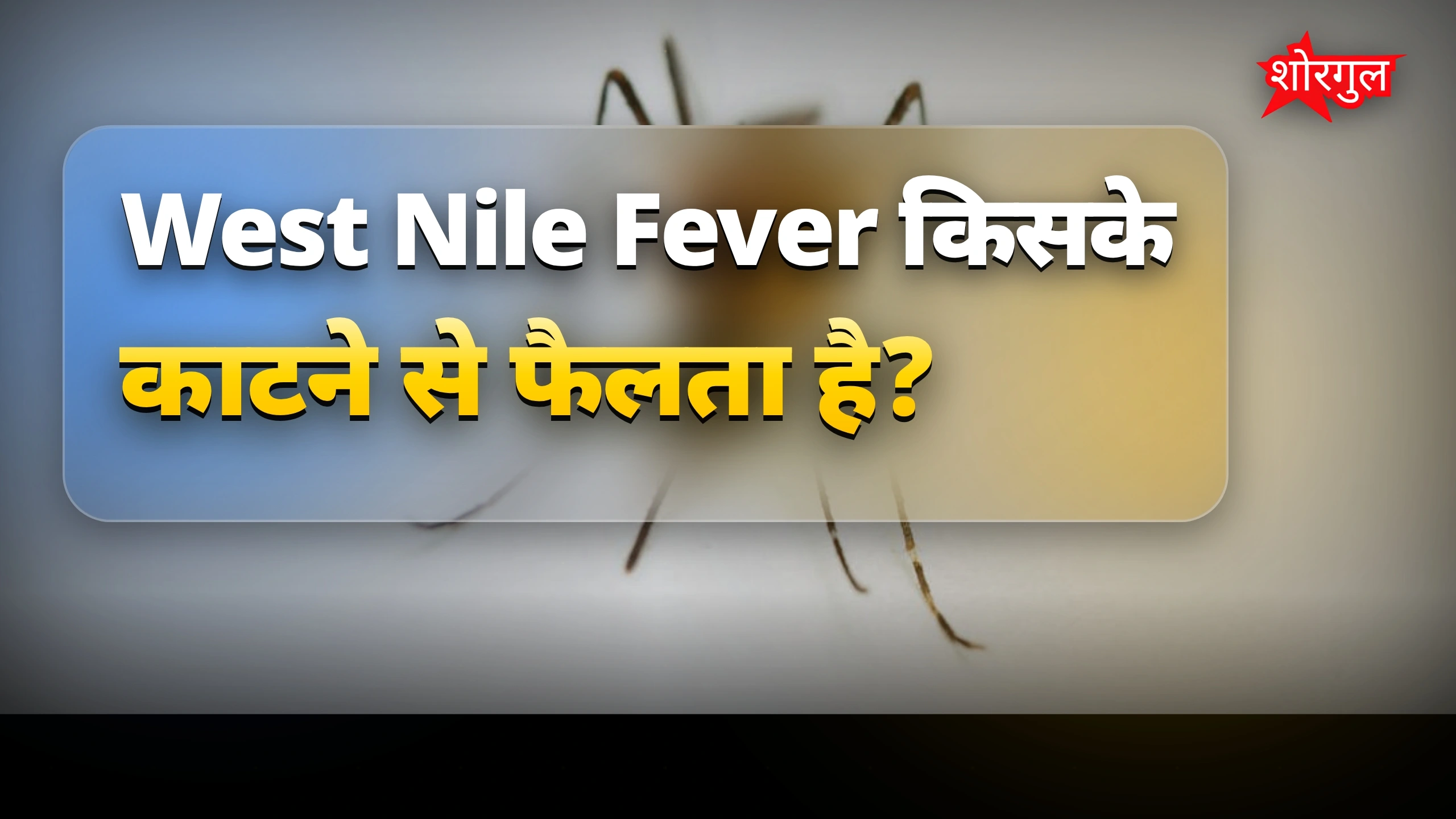 Alert! ये बीमारी गंभीर हो सकती है ⚠️