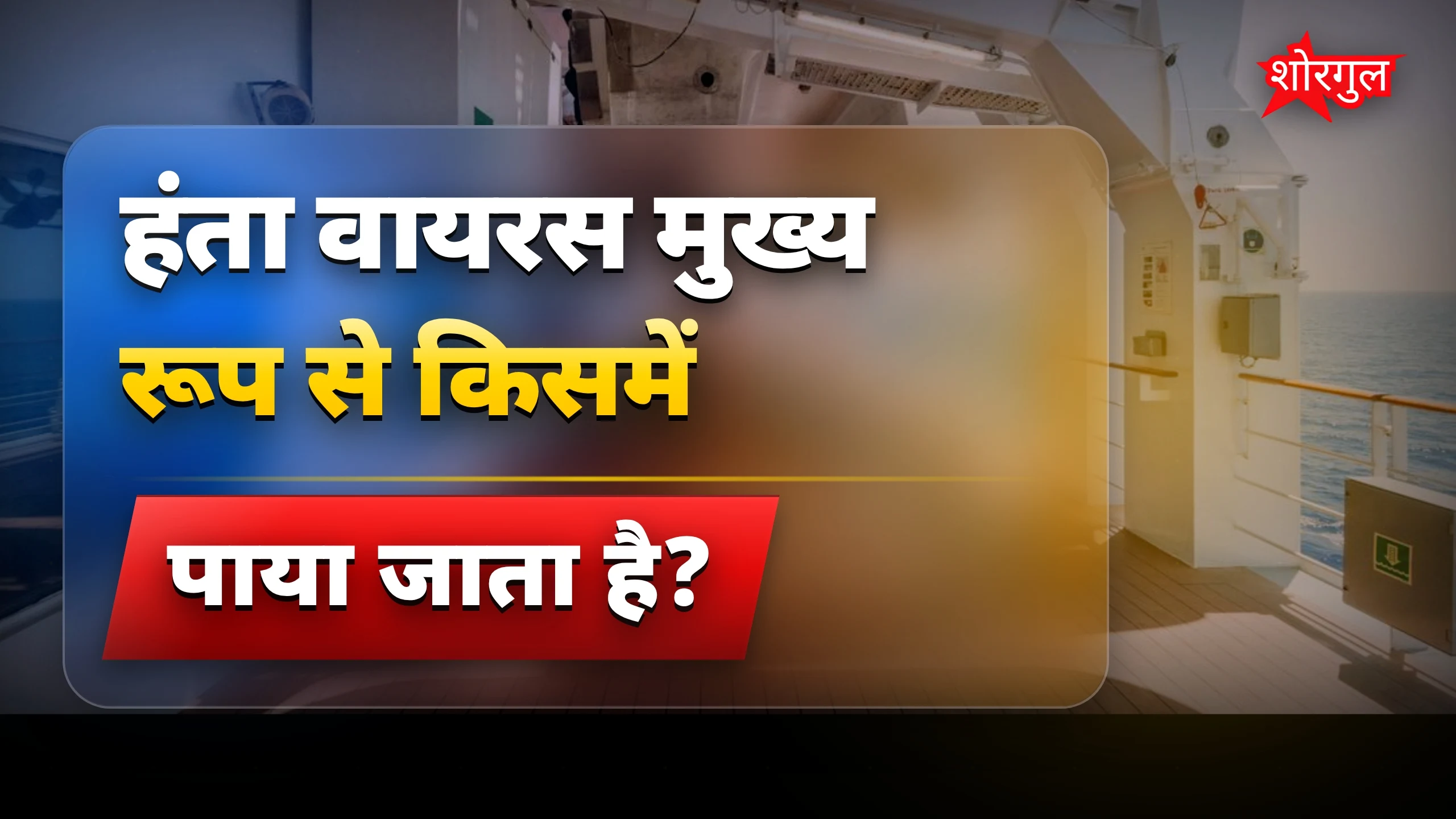 हंता वायरस ने सबको shock किया 😲