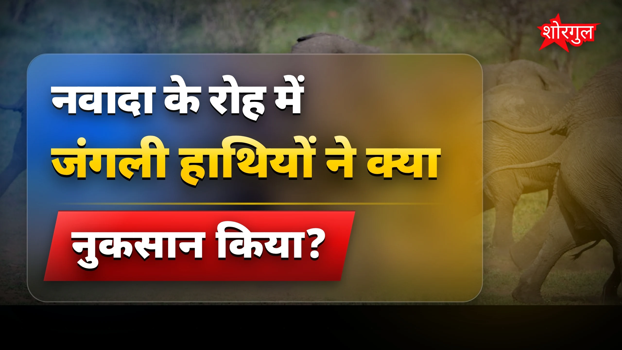 देखो हाथियों का तांडव 😱