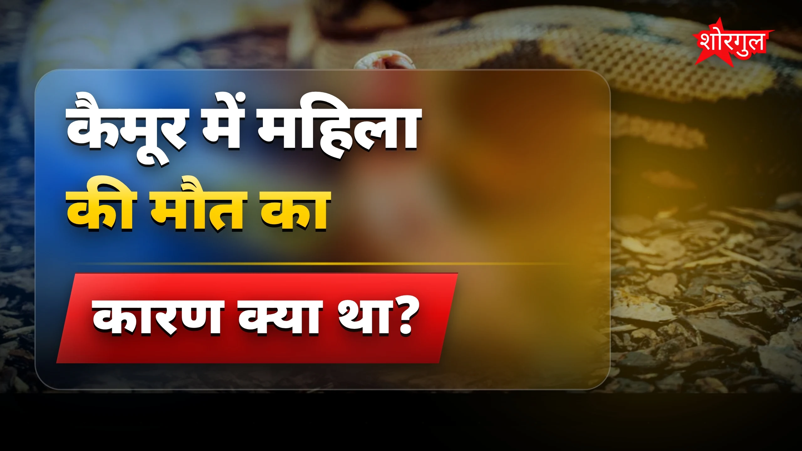यह दर्दनाक सच देखो 😢