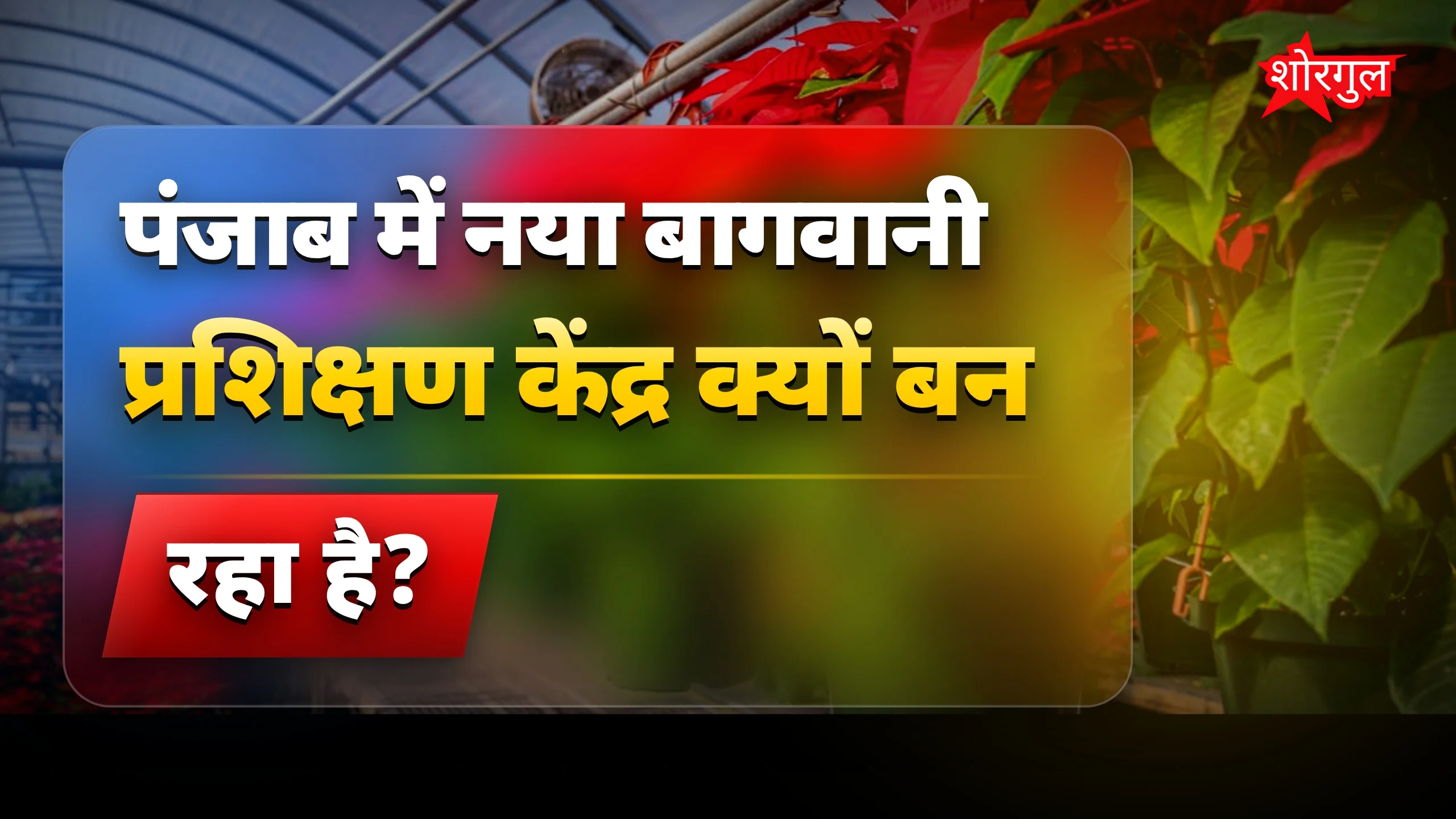 पंजाब में बड़ा बदलाव soon होगा 🔥